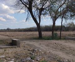 Vende Lotes - Imagen 5