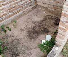 Terreno en venta Calle Alsina con titulo de propiedad - Imagen 2