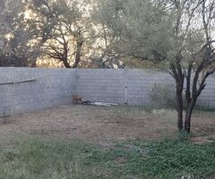 Vendo propiedad - Imagen 7