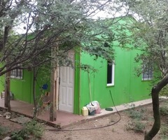 Complejo de cabañas con 4 cabañas - Imagen 2