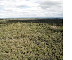 Venta de lote 9 hectáreas-SAN MARCOS SIERRAS