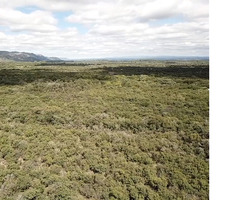 Venta de lote 9 hectáreas-SAN MARCOS SIERRAS - Imagen 2